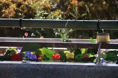 豊景神社の手水舎