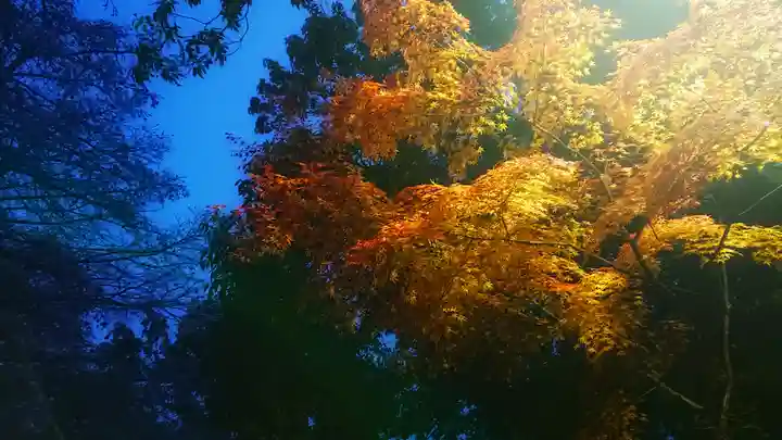 尾張大國霊神社(国府宮)の周辺
