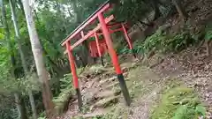 岩屋神社の鳥居