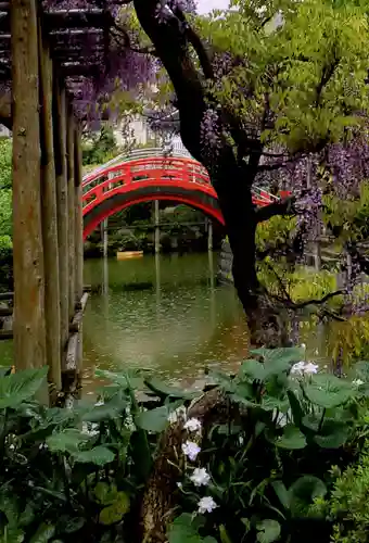 亀戸天神社の自然