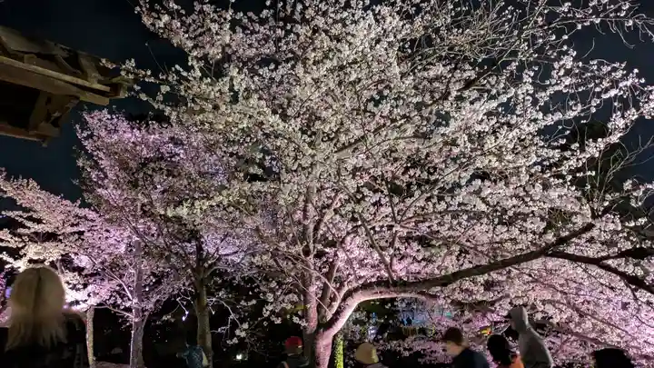 知恩院(京都府)