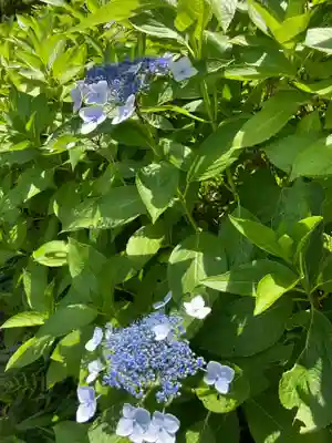 天台宗　長窪山　正覚寺の自然