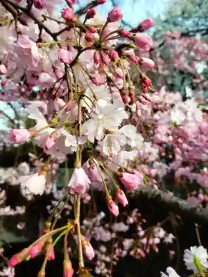下高井戸八幡神社(東京都)