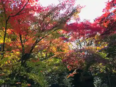 西芳寺の{uncategorized: "未分類", other: "その他", undefined: "問題あり", building: "その他建物", grave: "お墓", sacred_gate: "鳥居", guardian: "狛犬", statue: "像", buddha: "仏像", history: "歴史", nature: "自然", garden: "庭園", animal: "動物", pagoda: "塔", temizu: "手水舎", mountain_gate: "山門・神門", sanctuary: "本殿・本堂", subordinate: "末社・摂社", art: "芸術", scenery: "景色", jizo: "地蔵", ema: "絵馬", goshuin: "御朱印", omikuji: "おみくじ", items: "授与品その他", amulet: "お守り", goshuincho: "御朱印帳", eats: "食事", festival: "お祭り", votive_dance: "神楽", shichigosan: "七五三参", wedding: "結婚式", experience: "体験その他", initially: "初詣", around: "周辺", anti_infection: "感染症対策"}
