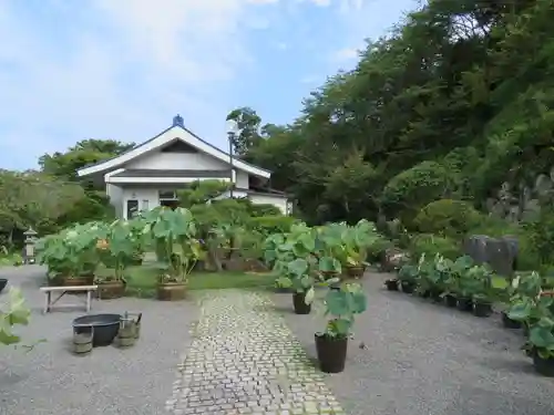 正蓮寺の庭園