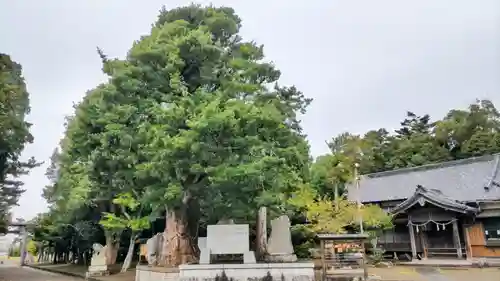 鶴谷八幡宮の自然