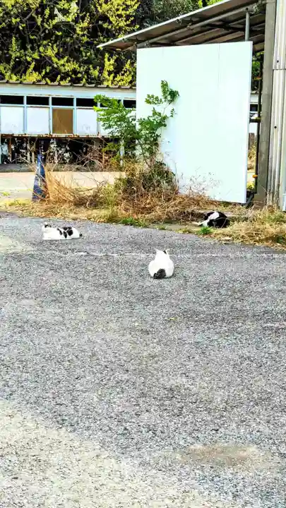 櫻木神社の動物