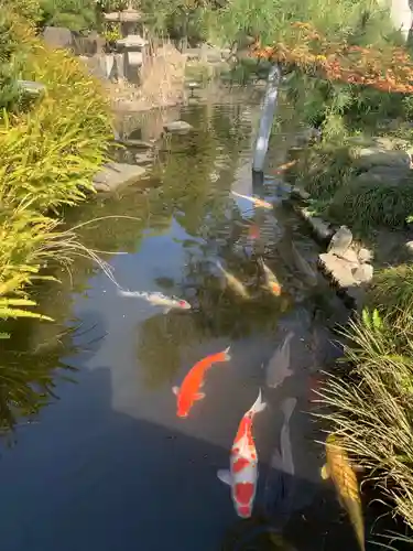 彦島八幡宮の庭園