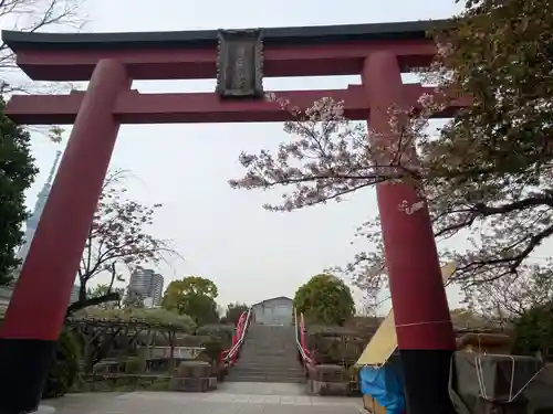 亀戸天神社(東京都)
