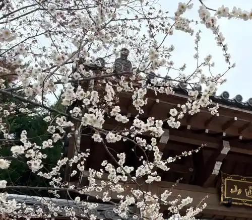 興聖寺の{uncategorized: "未分類", other: "その他", undefined: "問題あり", building: "その他建物", grave: "お墓", sacred_gate: "鳥居", guardian: "狛犬", statue: "像", buddha: "仏像", history: "歴史", nature: "自然", garden: "庭園", animal: "動物", pagoda: "塔", temizu: "手水舎", mountain_gate: "山門・神門", sanctuary: "本殿・本堂", subordinate: "末社・摂社", art: "芸術", scenery: "景色", jizo: "地蔵", ema: "絵馬", goshuin: "御朱印", omikuji: "おみくじ", items: "授与品その他", amulet: "お守り", goshuincho: "御朱印帳", eats: "食事", festival: "お祭り", votive_dance: "神楽", shichigosan: "七五三参", wedding: "結婚式", experience: "体験その他", initially: "初詣", around: "周辺", anti_infection: "感染症対策"}