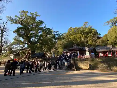 蒲生八幡神社の建物その他