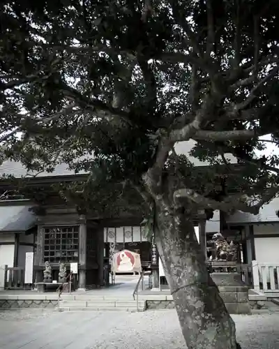 大洗磯前神社(茨城県)