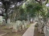 実蔵院(千葉県)