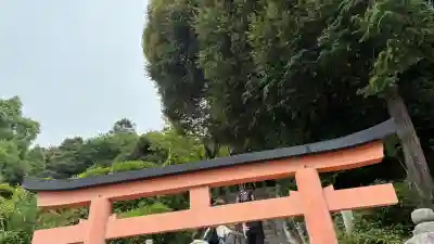 白鬚神社(滋賀県)