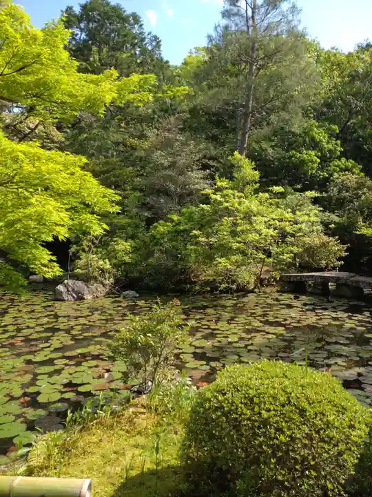 金地院(京都府)