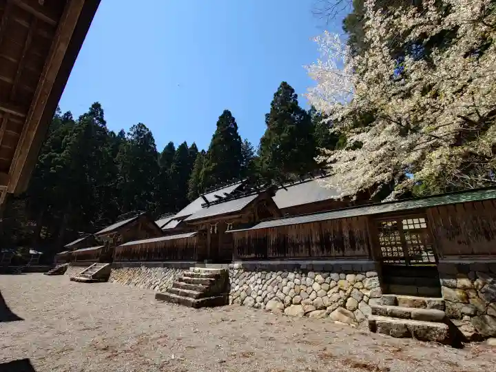 白山神社(長滝神社・白山長瀧神社・長滝白山神社)の{uncategorized: "未分類", other: "その他", undefined: "問題あり", building: "その他建物", grave: "お墓", sacred_gate: "鳥居", guardian: "狛犬", statue: "像", buddha: "仏像", history: "歴史", nature: "自然", garden: "庭園", animal: "動物", pagoda: "塔", temizu: "手水舎", mountain_gate: "山門・神門", sanctuary: "本殿・本堂", subordinate: "末社・摂社", art: "芸術", scenery: "景色", jizo: "地蔵", ema: "絵馬", goshuin: "御朱印", omikuji: "おみくじ", items: "授与品その他", amulet: "お守り", goshuincho: "御朱印帳", eats: "食事", festival: "お祭り", votive_dance: "神楽", shichigosan: "七五三参", wedding: "結婚式", experience: "体験その他", initially: "初詣", around: "周辺", anti_infection: "感染症対策"}
