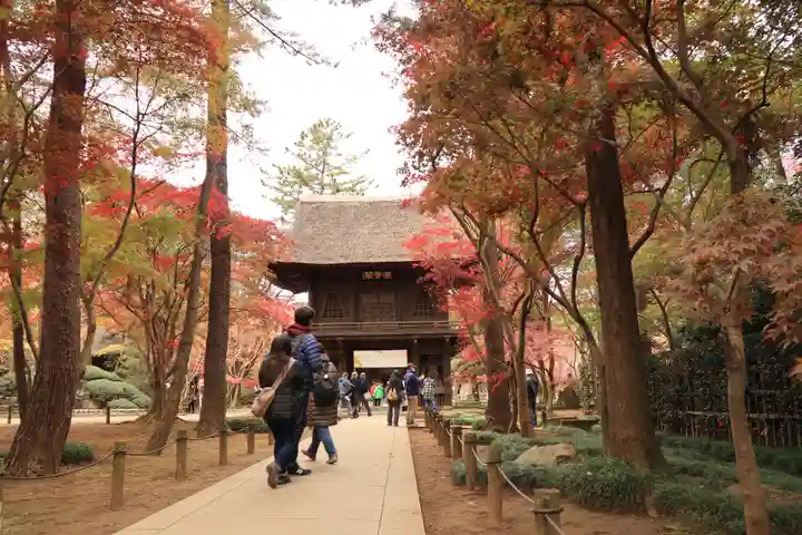 平林寺(埼玉県)