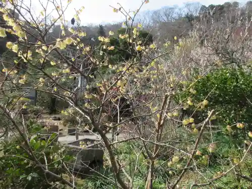 光則寺の庭園