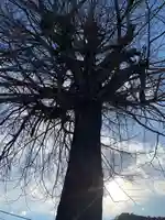 小松神社(栃木県)