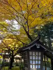 北口本宮冨士浅間神社(山梨県)