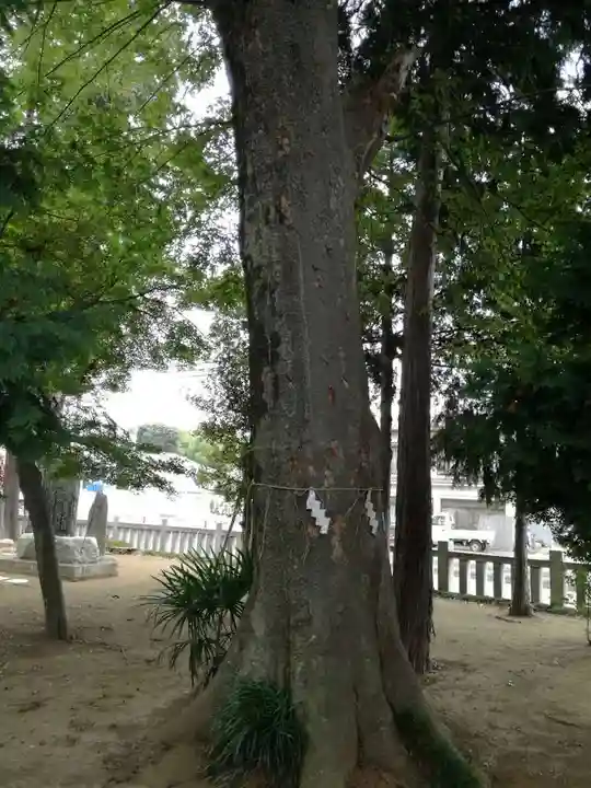 香取大神社の自然