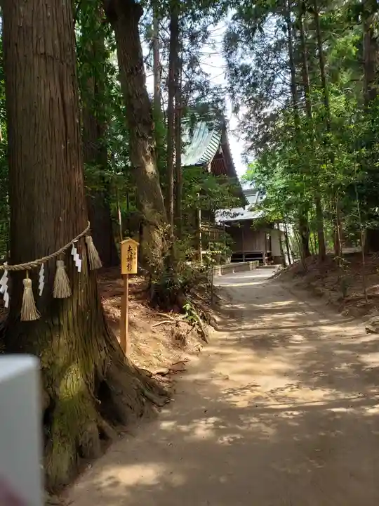 鶴峯八幡宮の自然