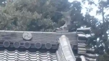 八幡神社の本殿・本堂