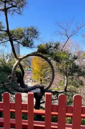 清水観音堂の庭園