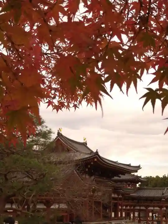 平等院のその他建物