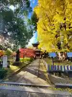 鑁阿寺(栃木県)