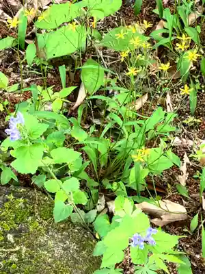 蚕影神社(茨城県)