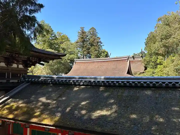 石上神宮の本殿・本堂