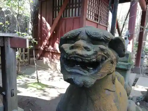 渋谷氷川神社の狛犬