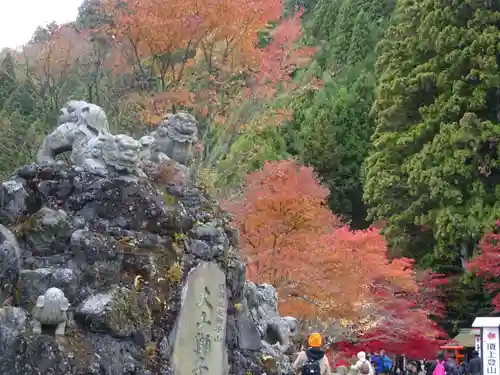 大山阿夫利神社の狛犬