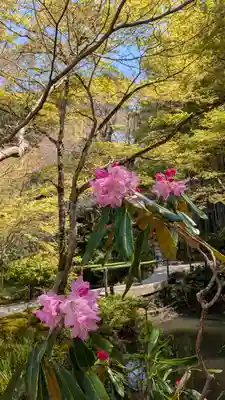 圓光寺(京都府)