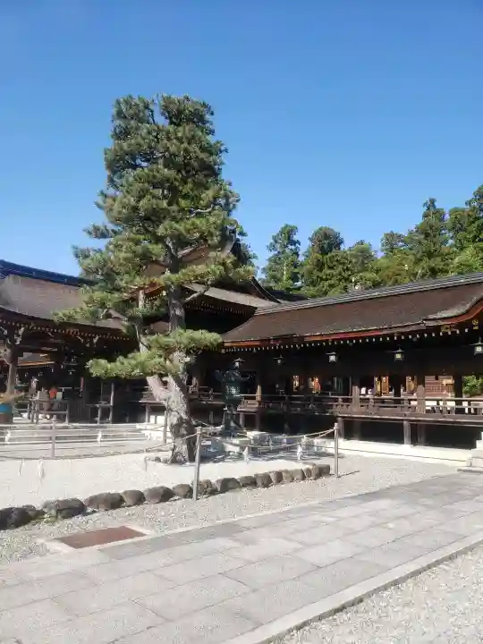 多賀大社の{uncategorized: "未分類", other: "その他", undefined: "問題あり", building: "その他建物", grave: "お墓", sacred_gate: "鳥居", guardian: "狛犬", statue: "像", buddha: "仏像", history: "歴史", nature: "自然", garden: "庭園", animal: "動物", pagoda: "塔", temizu: "手水舎", mountain_gate: "山門・神門", sanctuary: "本殿・本堂", subordinate: "末社・摂社", art: "芸術", scenery: "景色", jizo: "地蔵", ema: "絵馬", goshuin: "御朱印", omikuji: "おみくじ", items: "授与品その他", amulet: "お守り", goshuincho: "御朱印帳", eats: "食事", festival: "お祭り", votive_dance: "神楽", shichigosan: "七五三参", wedding: "結婚式", experience: "体験その他", initially: "初詣", around: "周辺", anti_infection: "感染症対策"}