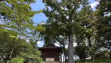 天満神社(兵庫県)