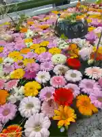 住吉神社(北海道)