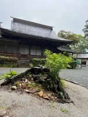 井伊谷宮(静岡県)
