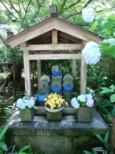 明月院(神奈川県)