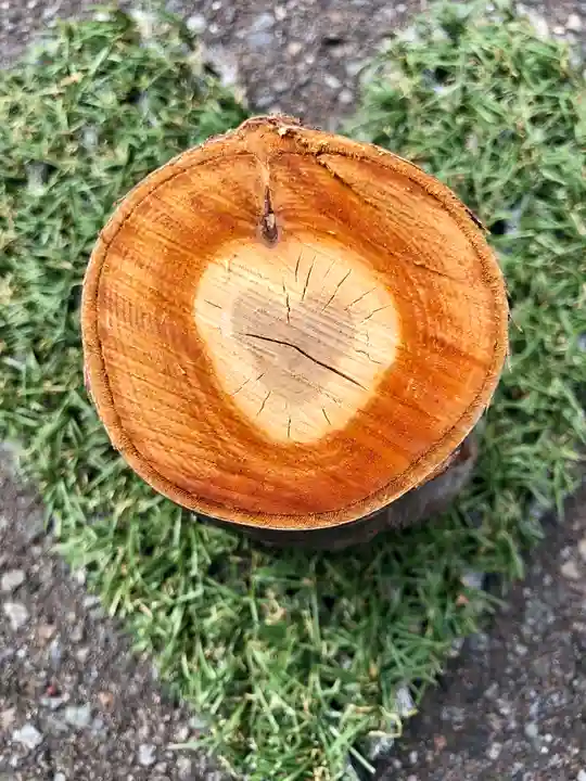 伊達神社のその他建物