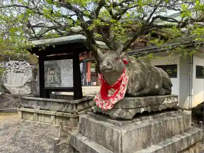 北野天満宮(京都府)