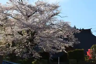 龍穏院の景色