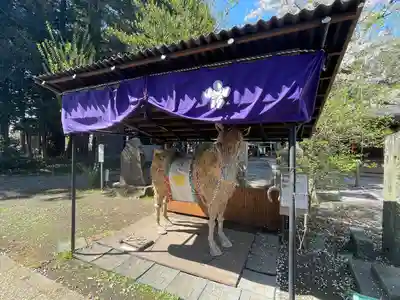 北野天神社(埼玉県)