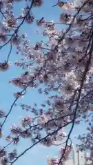 神明社（国府宮神明社）の自然