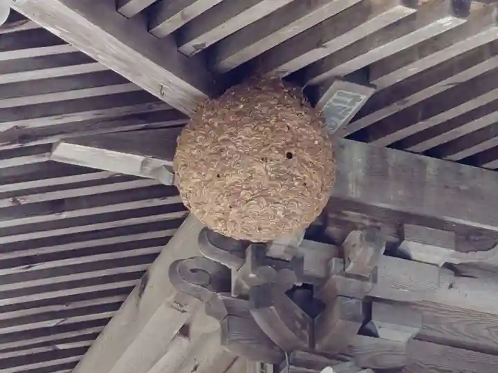 隠津島神社(福島県)