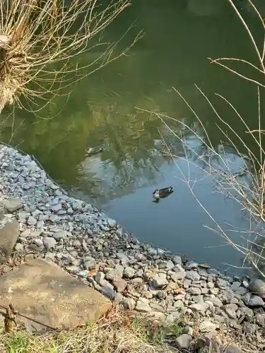 回春院の{uncategorized: "未分類", other: "その他", undefined: "問題あり", building: "その他建物", grave: "お墓", sacred_gate: "鳥居", guardian: "狛犬", statue: "像", buddha: "仏像", history: "歴史", nature: "自然", garden: "庭園", animal: "動物", pagoda: "塔", temizu: "手水舎", mountain_gate: "山門・神門", sanctuary: "本殿・本堂", subordinate: "末社・摂社", art: "芸術", scenery: "景色", jizo: "地蔵", ema: "絵馬", goshuin: "御朱印", omikuji: "おみくじ", items: "授与品その他", amulet: "お守り", goshuincho: "御朱印帳", eats: "食事", festival: "お祭り", votive_dance: "神楽", shichigosan: "七五三参", wedding: "結婚式", experience: "体験その他", initially: "初詣", around: "周辺", anti_infection: "感染症対策"}