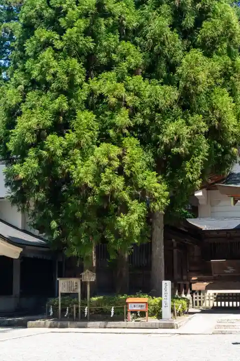 白山比咩神社(石川県)