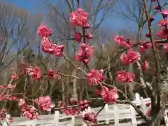 筑波山神社の自然