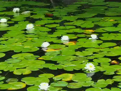 平安神宮(京都府)